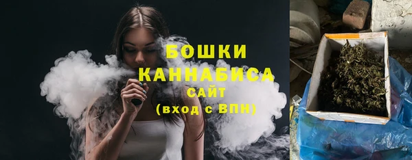 стафф Новокубанск