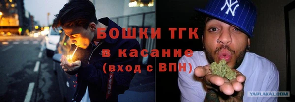 стафф Новокубанск