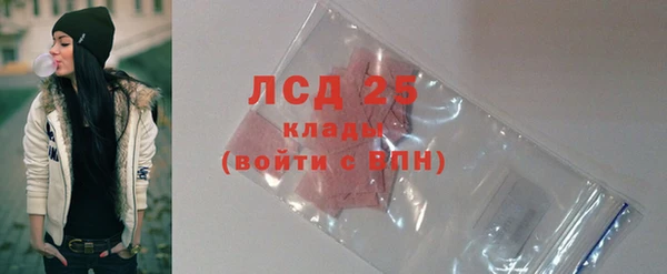 стафф Новокубанск