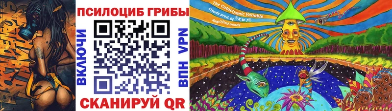 Псилоцибиновые грибы Psilocybe  Купить где  Райчихинск 